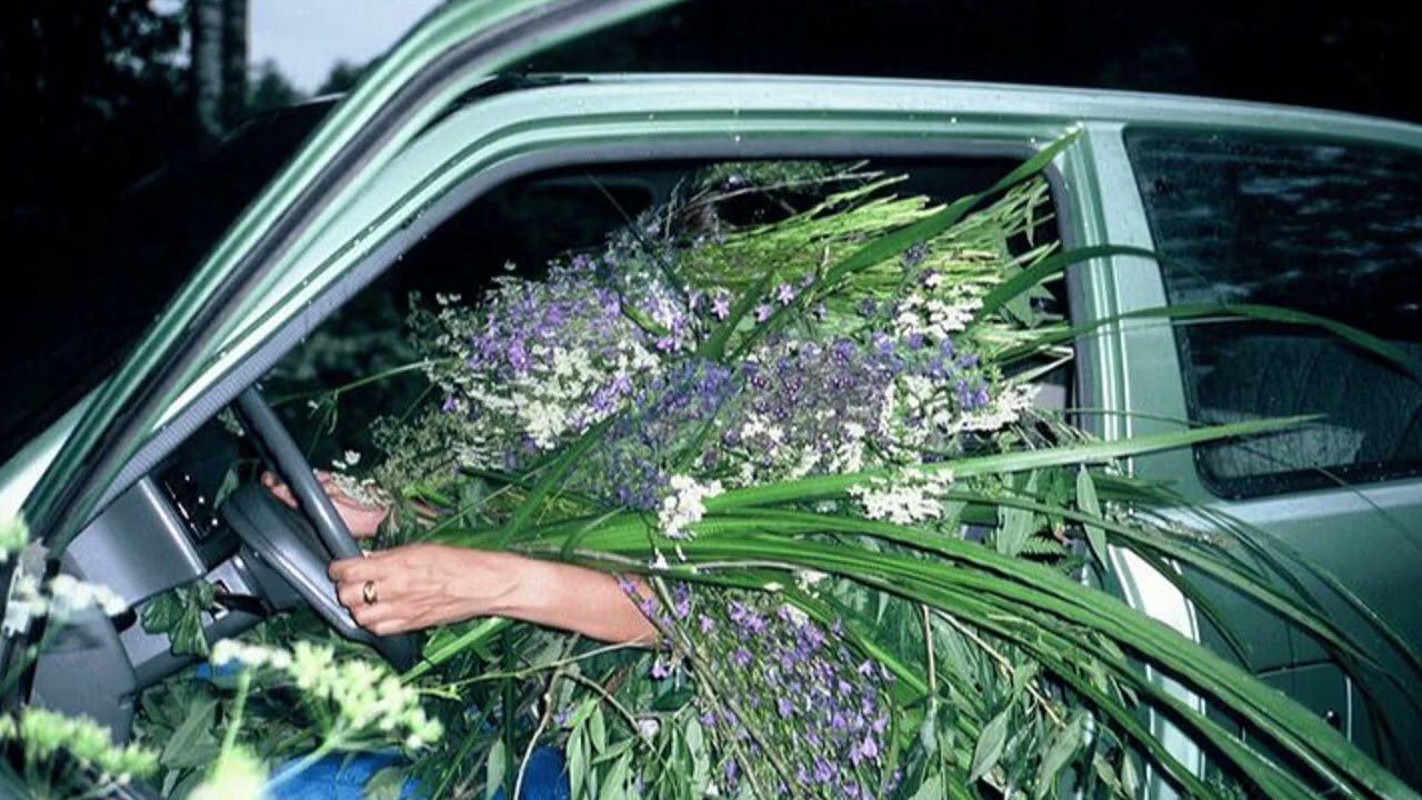 (𝑝𝑙𝑎𝑦𝑙𝑖𝑠𝑡) 들풀과 과속방지턱 | Melodic hip hop