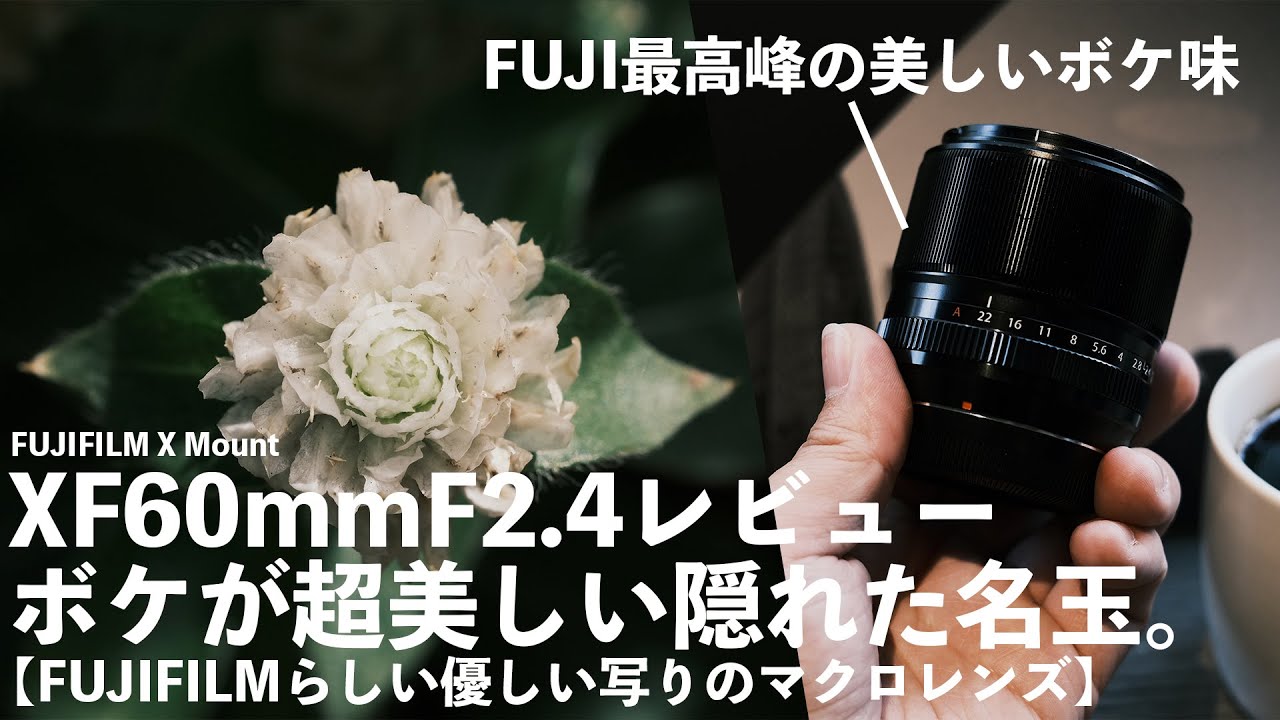 XF60mmF2.4Macroレビュー！ボケが超美しい隠れた名玉！【FUJIFILMらしい優しい写りのマクロレンズ】