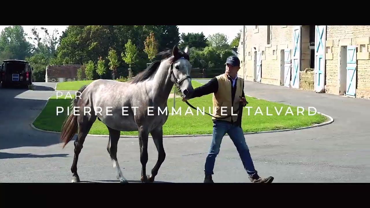 Haras du cadran : le Kentucky dans l'Orne construit sur 400 hectares par Pierre et Emmanuel Talvard