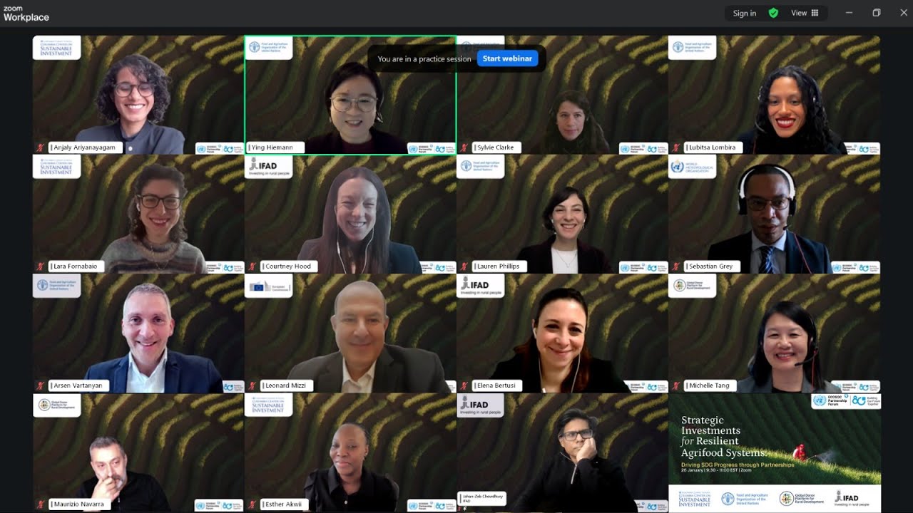 CCSI | Strategic Investments for Resilient Agrifood Systems