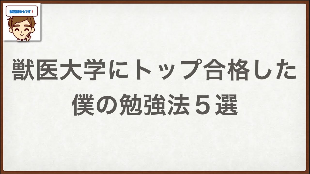 獣医大学にトップ合格した僕の勉強法5選【現役獣医師が解説】