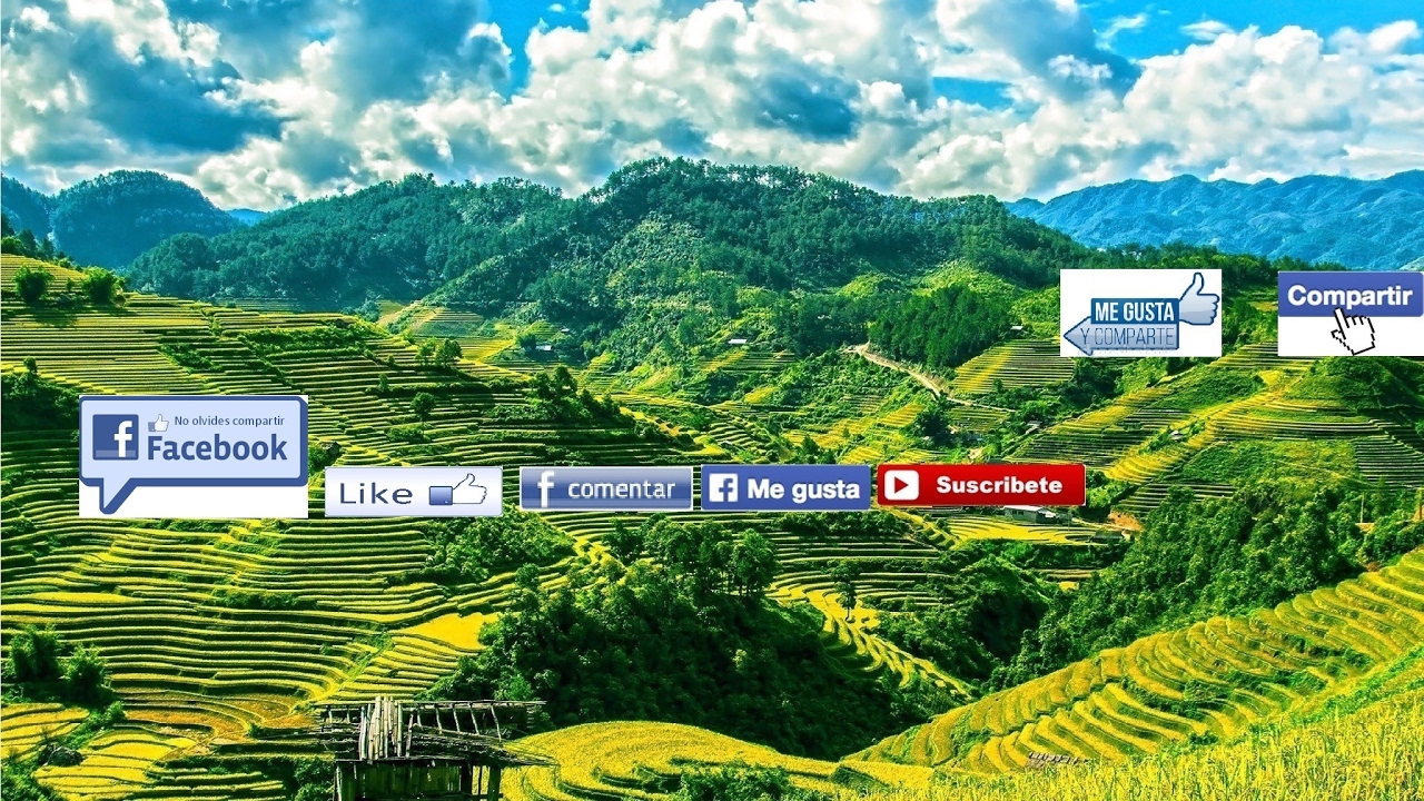 FULL RMIX CHICHA LIGHT SOLO EXITOS  EL ORIGINAL