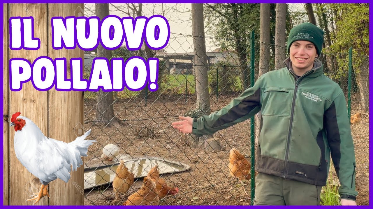 FINALMENTE il NUOVO POLLAIO!🐓🦆