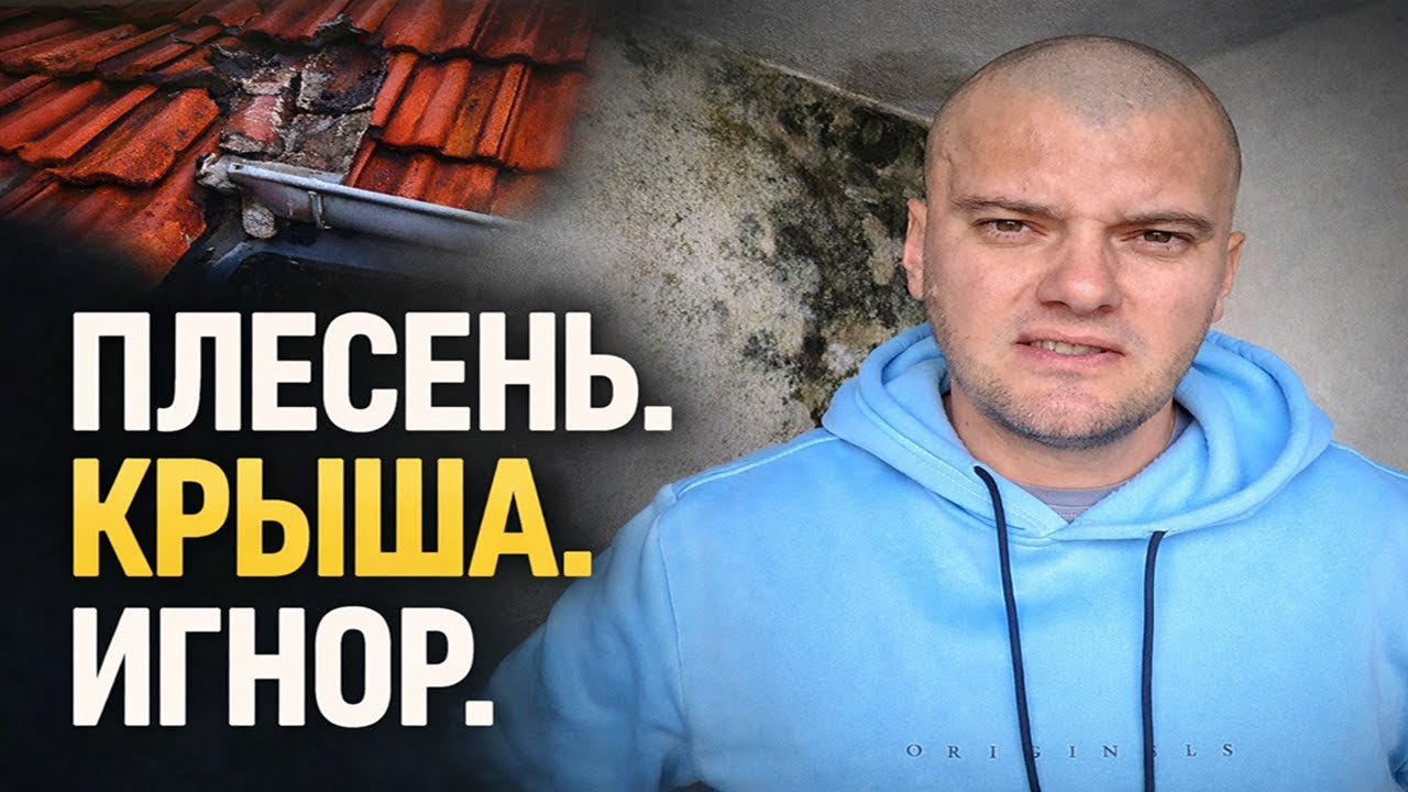 Плесень в съёмной квартире в Германии Hausverwaltung, крыша и Mietminderung