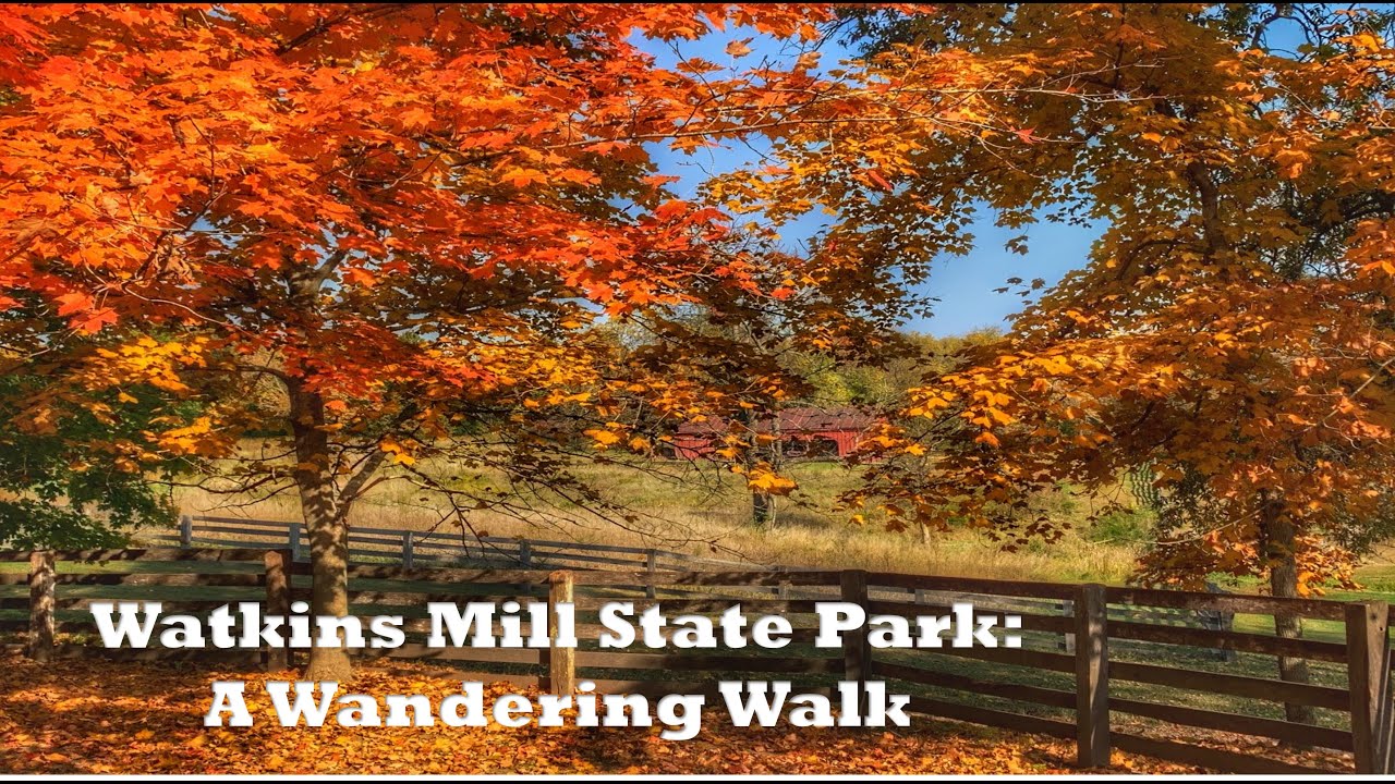 Watkins Mill State Park – Lawson, MO Fall 2020: Wandering Walks of Wonder Slow TV Walking Tour 4K
