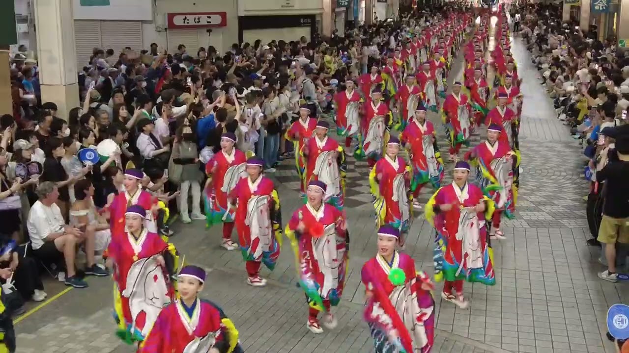 とらっくよさこい(ちふれ) 2024高知よさこい大賞演舞後夜祭　帯屋町筋