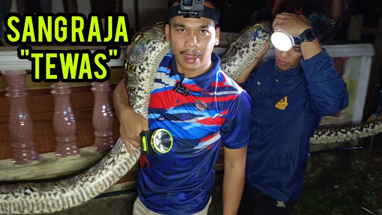 PUASA KE 14 DIA BUAT HAL | GANGGU KAWASAN RUMAH ORANG