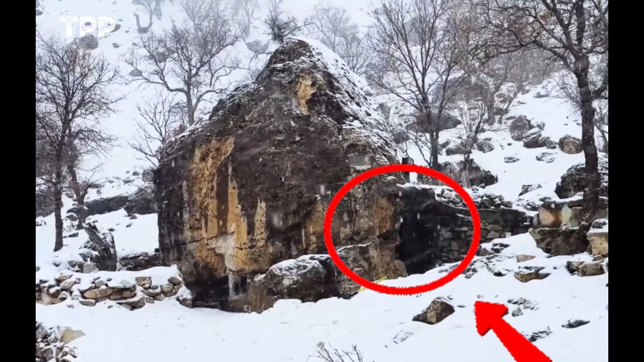 Extreme Cold Survival Building a Cozy Forest Shelter Using Primitive Techniques