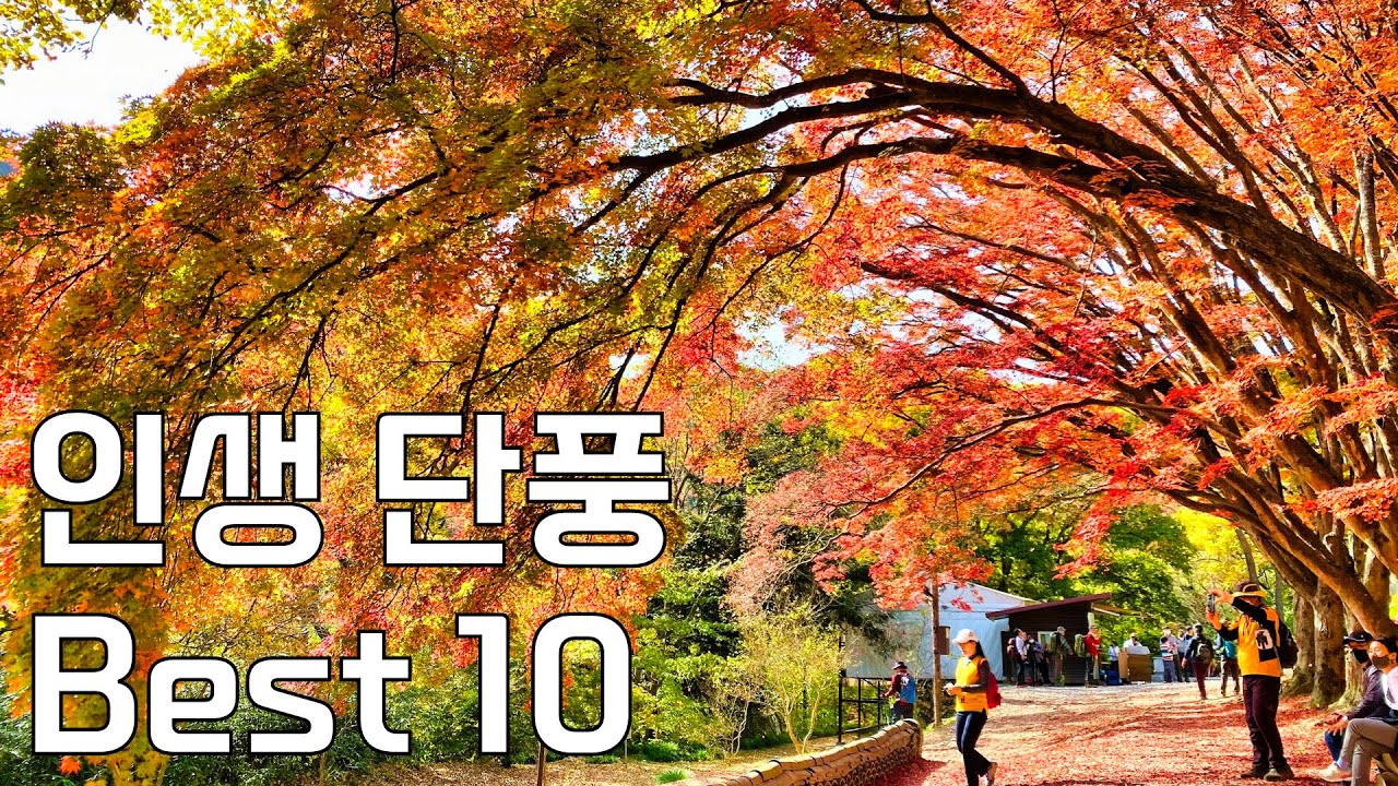 놓치면 안되는 가장 아름다운 단풍명소 베스트 10 | 단풍 언제 어디가 좋은지 알려드립니다.
