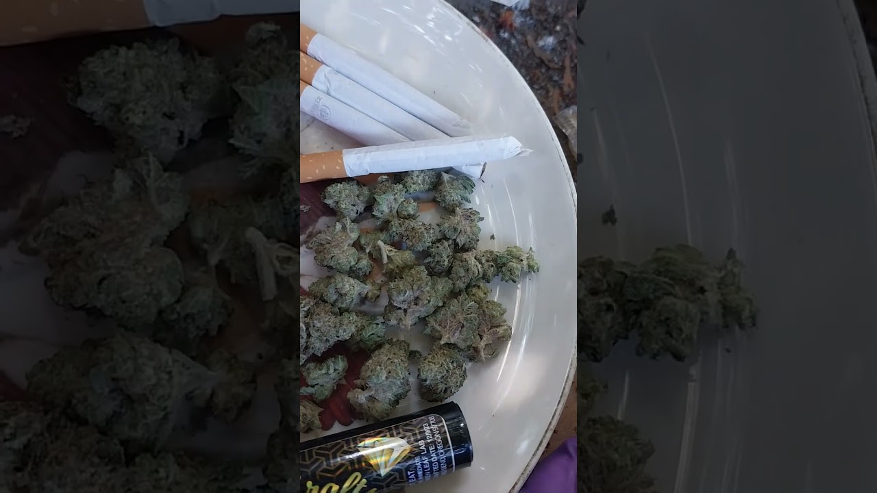 Review: Super Runtz Diamond infused 1G joint by Calyx Crafts + 