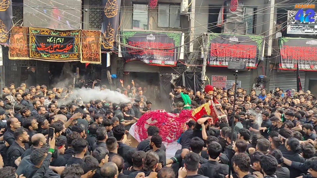 9 Muharram 2024 - Baramdagi Markazi Ziyarat Shabih Zuljanah & Zarih Nicolson Road Lahore