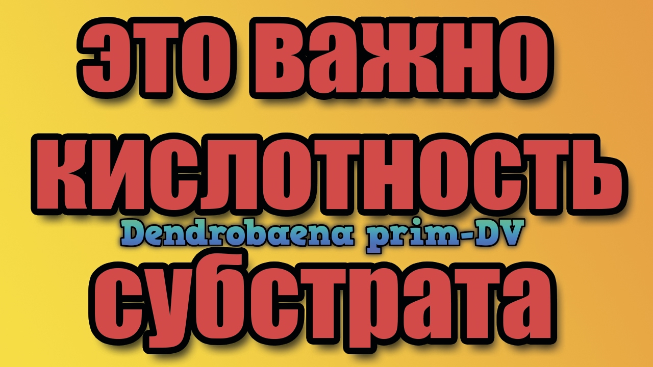 Червь Дендробена Венета . Кислотность субстрата .Это нужно знать, при содержании червя дендробена.