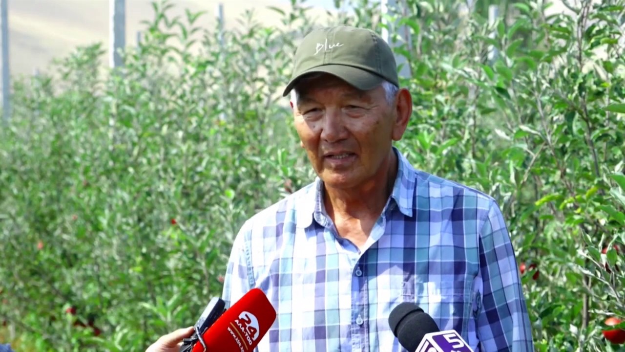 Аймактарда бизнес кылам дегендерге мүмкүнчүлүктөр арбын