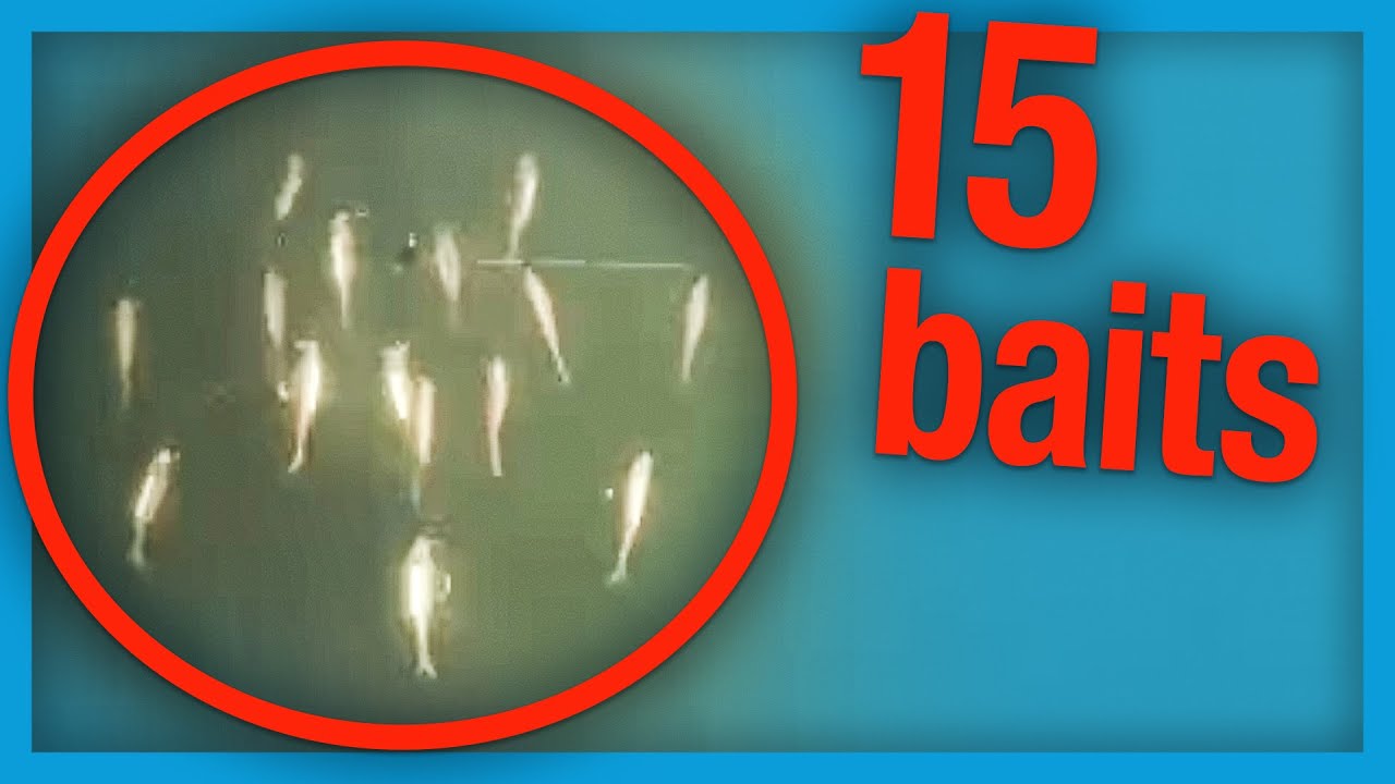 Японская оснастка «Алабама» с 15 приманками выглядит невероятно.
