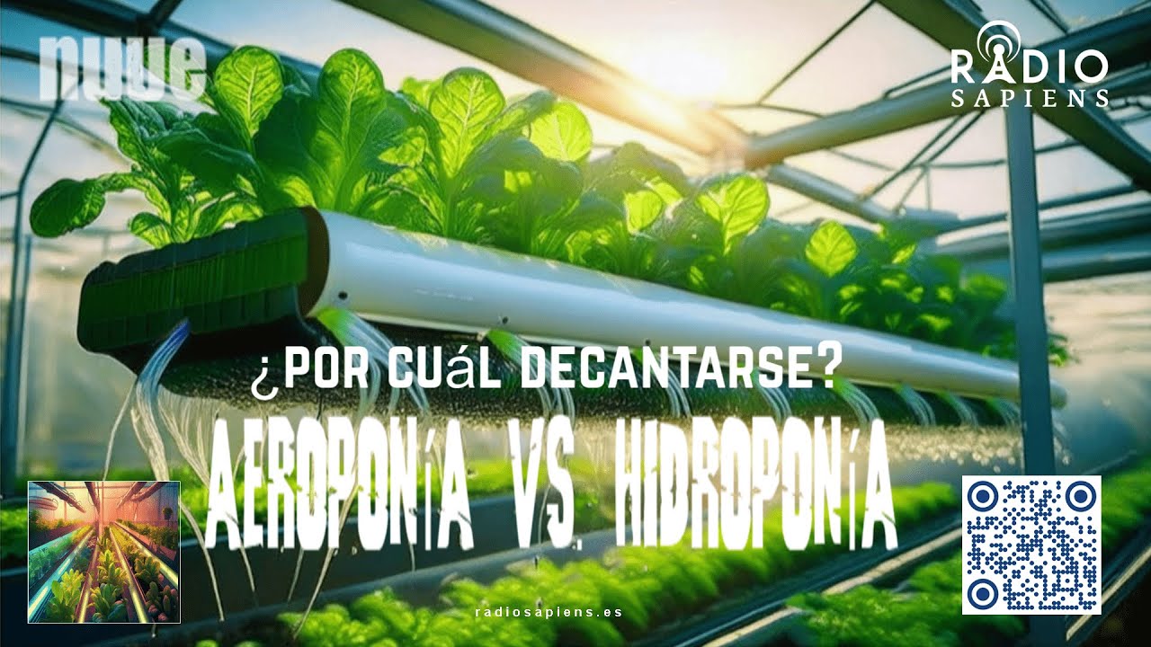 ⭕️ AEROPONÍA  vs. HIDROPONÍA: ¿Por cuál decantarse?