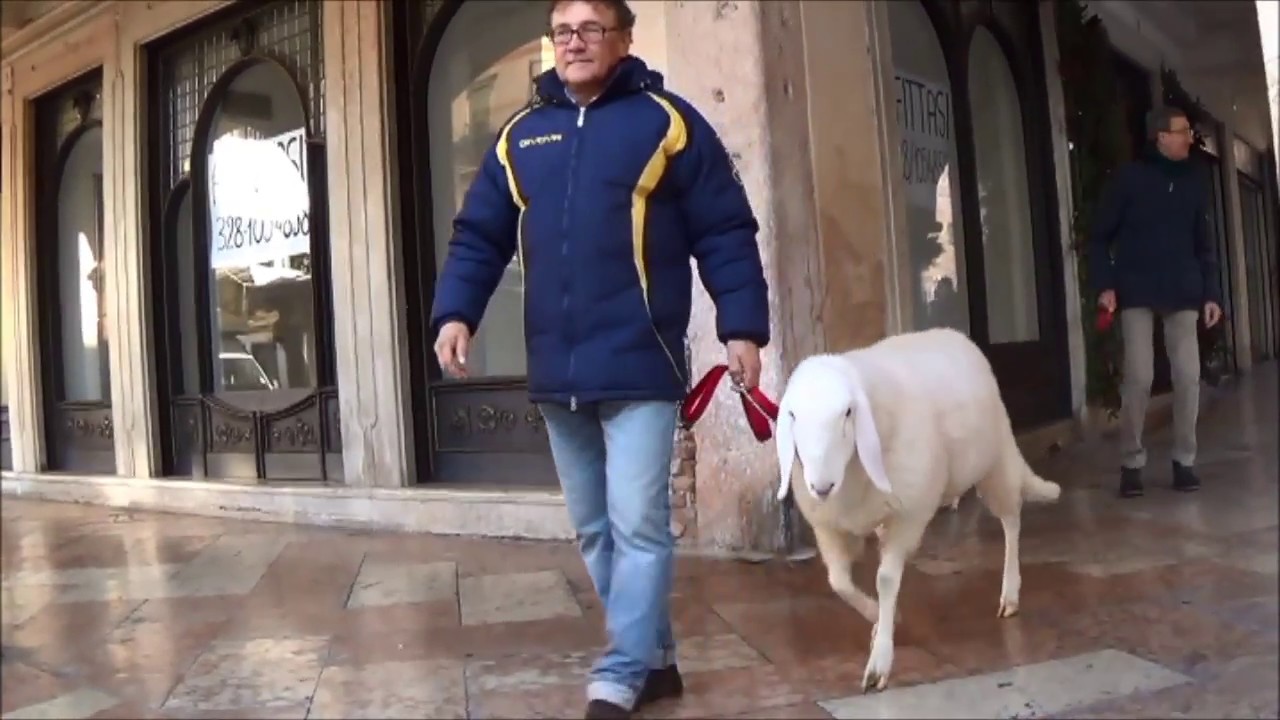 Passeggiata con 
