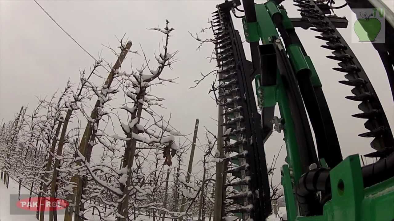 Cięcie mechaniczne jabłoni 2013 Fama CMA 250 (Apple orchad mechanical pruning,mechanischen Schnitt)