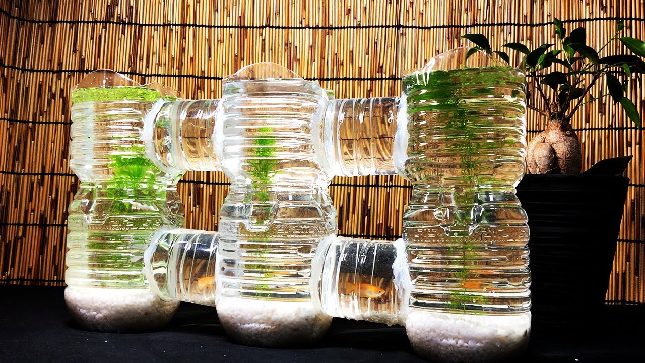 メダカ空中トンネル水槽をペットボトルだけで自作DIYして生体を飼育してみた｜PET bottle layout aquarium