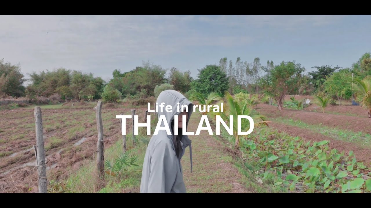 vlog │ 1 day rural life in Northeast Thailand (Isan 101)