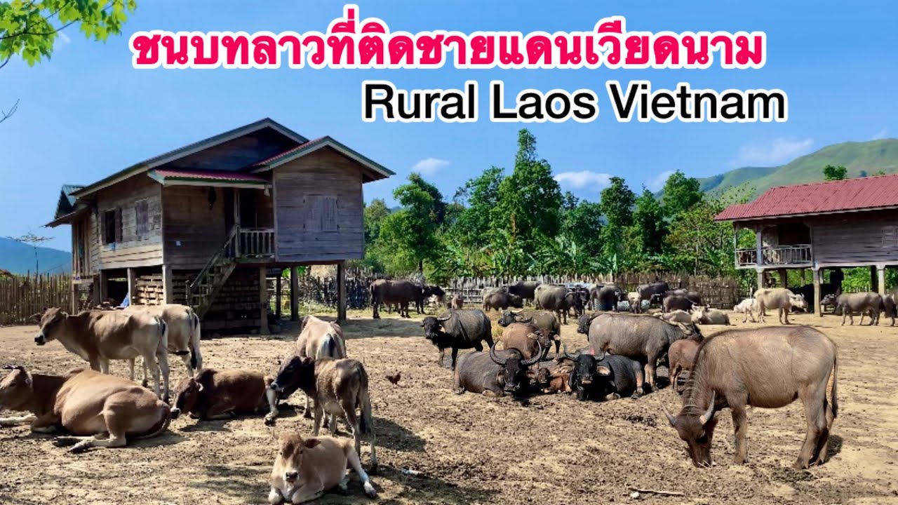 Rural Laos Vietnam ชนบทลาวเวียดนาม