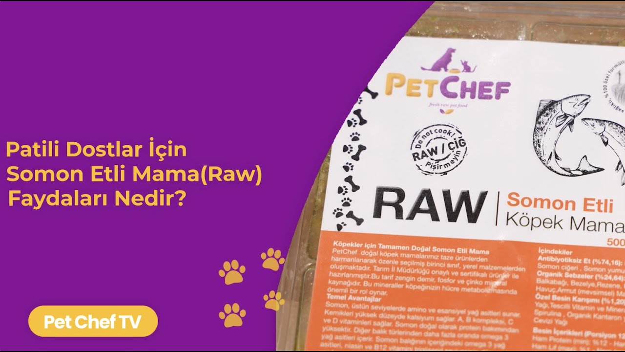 Somon Etli RAW mama nedir? Hem somonlu raw mamamızdan bahsettik hem de faydalarından...