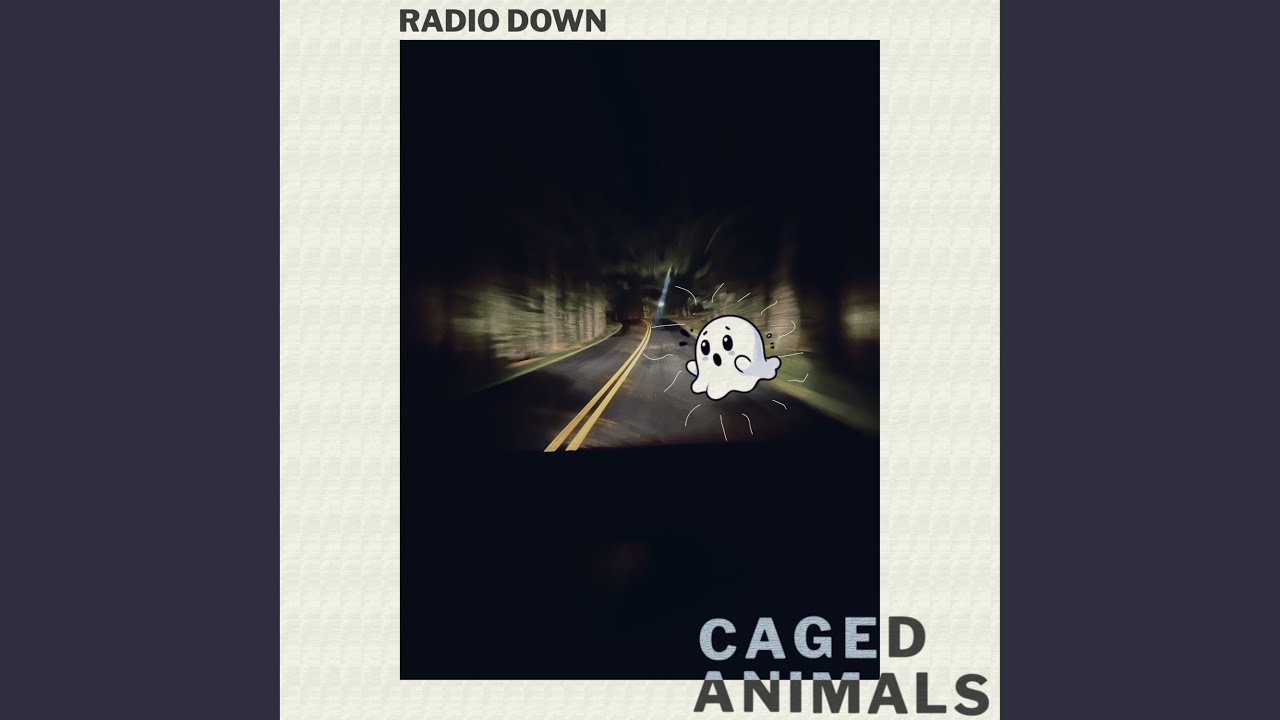 Radio Down
