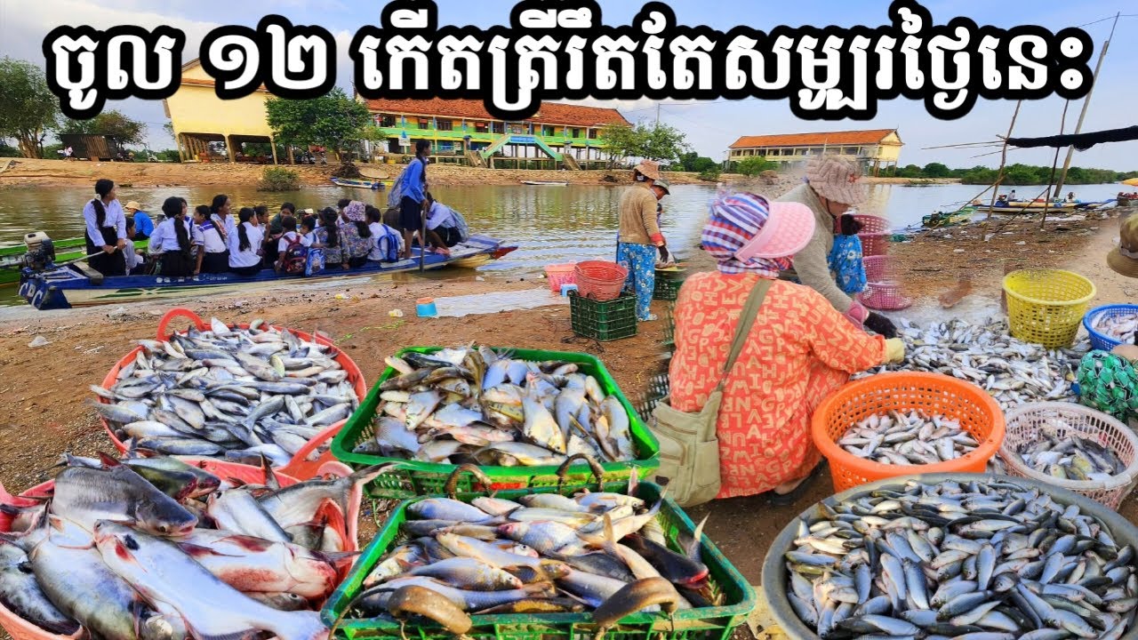 ទន្លេសាប ព្រឹកនេះត្រីសំបូរខ្លាំងជាងម្សិលមិញ ១២កើត...🐟👍 || TAT SOKKΕΑ - ΚΗ [Ep. 822]