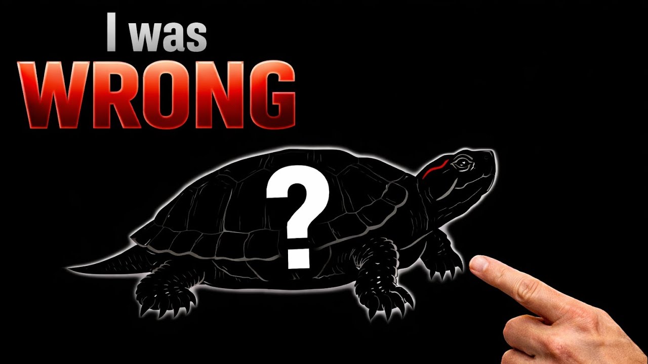 I was WRONG about my turtle's shell ROT..