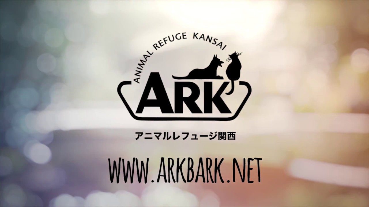 ARKへようこそ！/ Welcome to ARK!