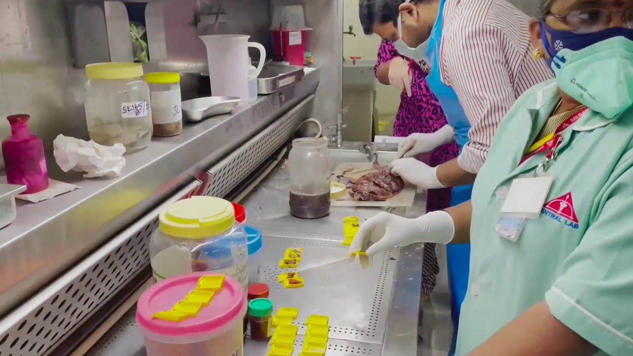 MICROSCOPE 2021 | Sri Ramachandra Institute of Higher Education & Research | #SRIHER