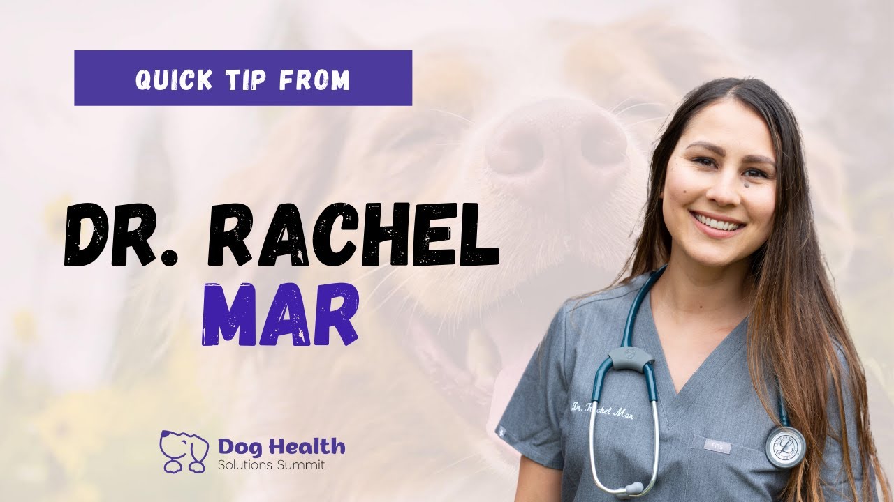 Dr. Rachel Mar Vitality Veterinarian | Integrative Medicine For Dogs Quick Tips | Pet Summits