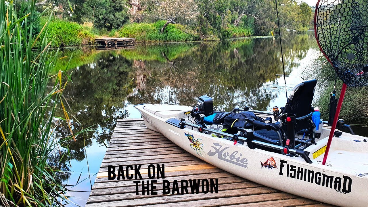 Back on the Barwon River | Freshwater Fishing Frenzy