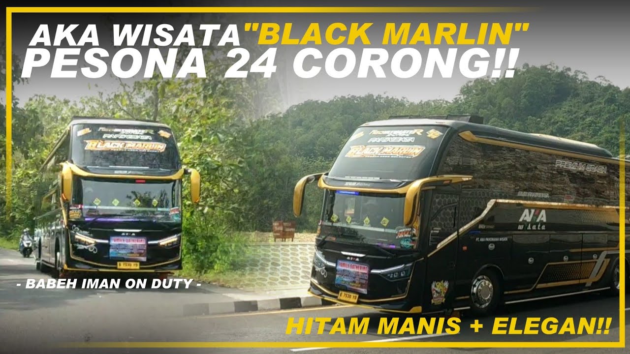 GAGAH BANGET NGELIATNYA🤩🔥 AKA WISATA BLACK MARLIN PESONA 24 CORONG FULL BASURI🔥‼️