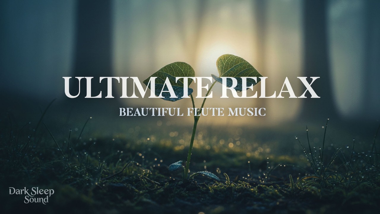 Beautiful Flute Melodies for a Calm Night 🌙 Deep Sleep & Gentle Relaxation All Night Long