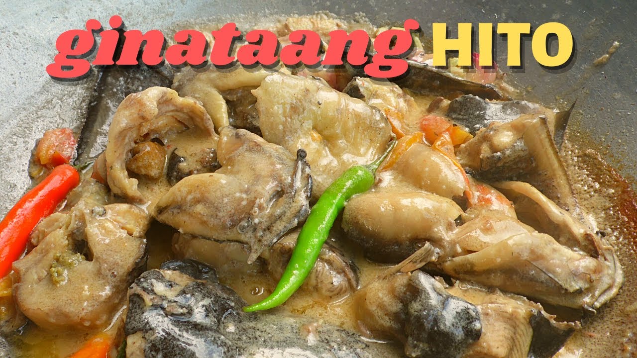 GINATAANG HITO