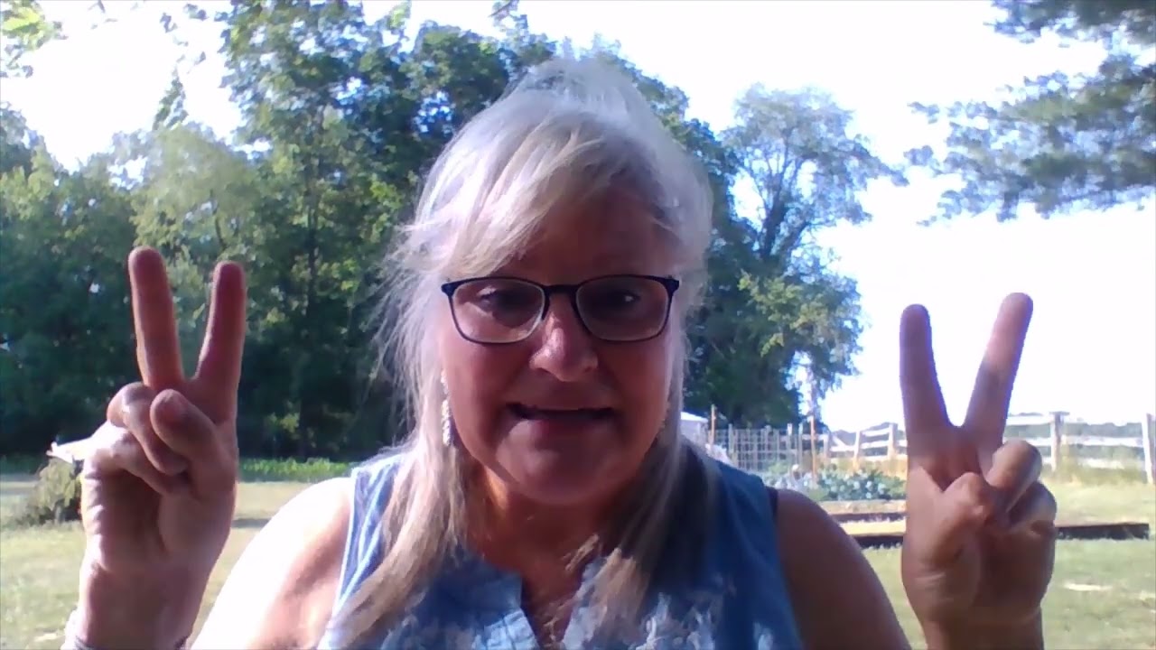 Almost Amish by Nancy Sleeth: Honest Book Review! Tour an Amish Grocery Store! Get Back to Basics!