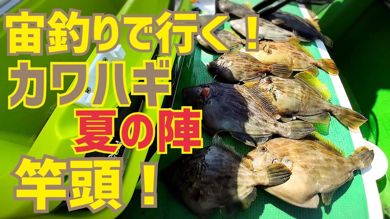 【カワハギ釣り】夏は宙釣りで良型狙い！東京湾・久里浜沖｜2023.8.19