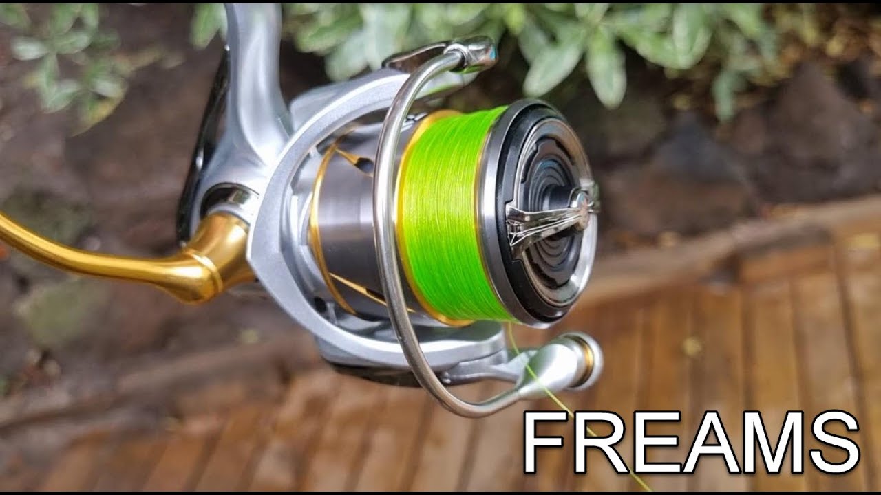 Daiwa Freams 2500 - Unboxing & First Impressions