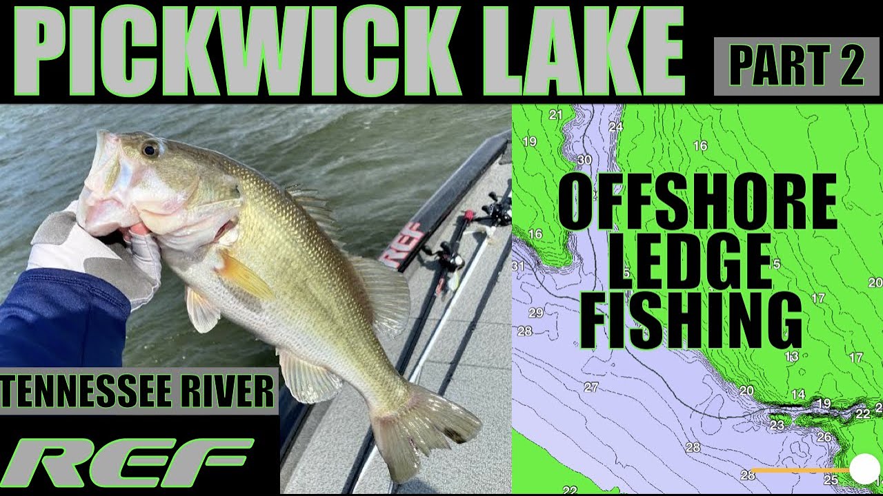 PICKWICK LAKE: Offshore Ledge Fishing Deep Summer Bass