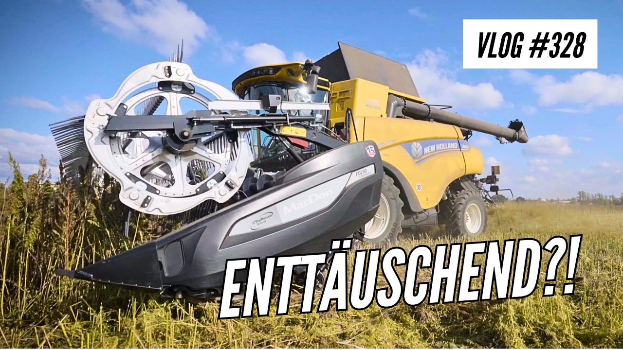 Vlog 328 | Körnerhanf in Einzelkorn? Überraschen? Wir dreschen mit Macdon + CR 8.80