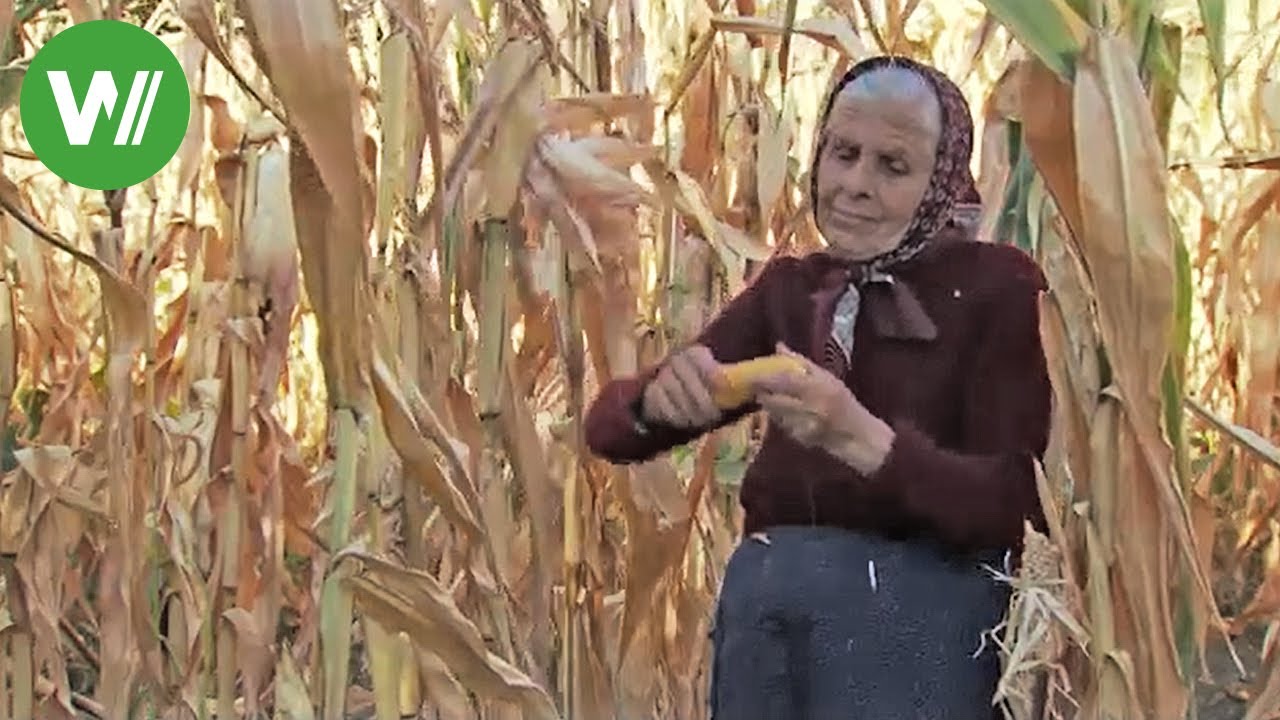 Die Walachei  - Wassermangel für die Landwirtschaft in Südosteuropa | Landträume (Folge 30/37)