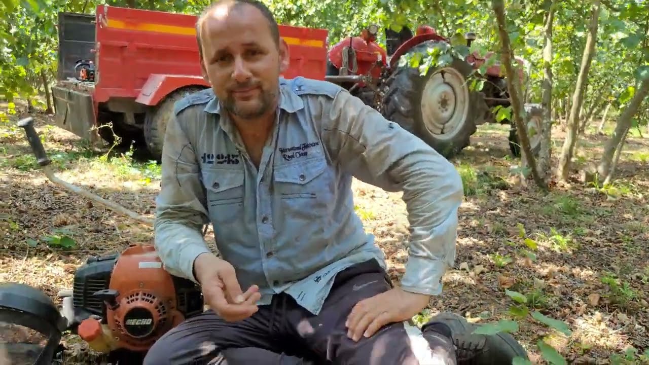 TIRPAN YAPMAYANLAR DİKKAT! FINDIK DÖKÜLMEYE BAŞLAMIŞ - SON TIRPAN