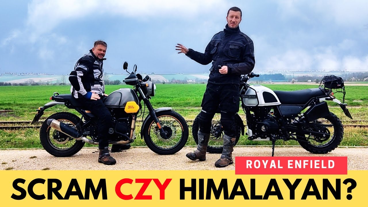 Scram czy Himalayan?