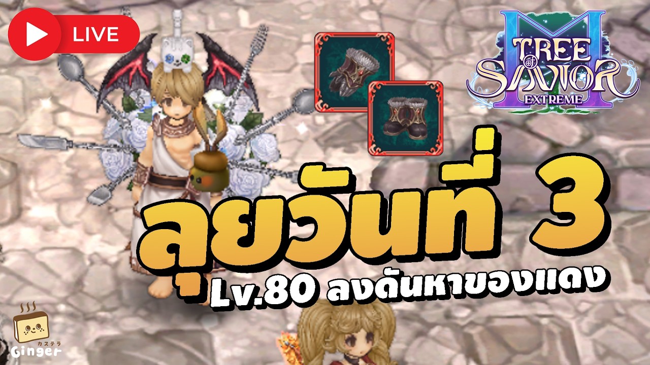 🔴 เทสวันที่ 3 Highlander Lv.80 ลงดัน Otherworld หาของแดง | Tree of Savior M