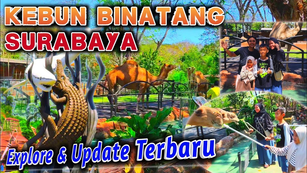 Explore Kebun Binatang Surabaya || UPDATE TERBARU || KBS destinasi wisata dan edukasi