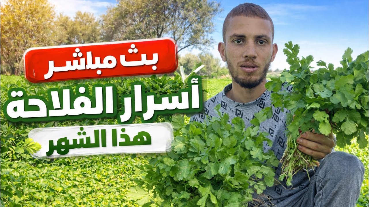 🌱 بث مباشر: أسرار الفلاحة فـ هذا الشهر