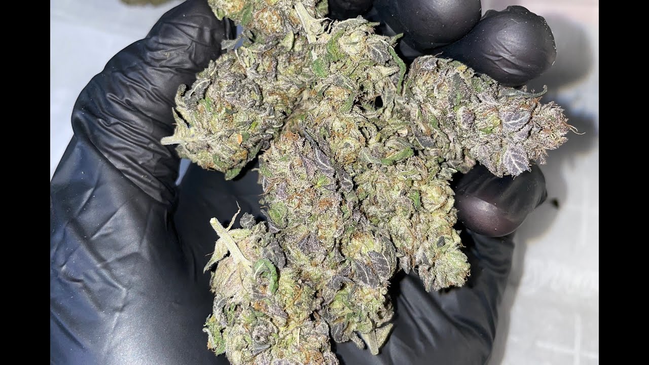 Trichome Zoom - Grown by Bird Man