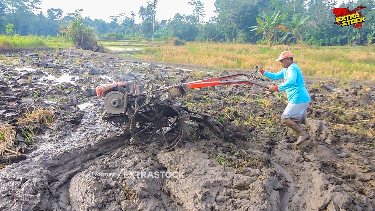 Akibat Kurang Air! Traktor Sawah Jalannya Sedikit Terhambat Tanah Lengket