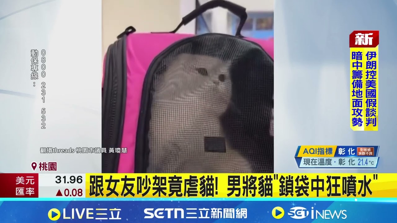 跟女友吵架竟虐貓! 男將貓