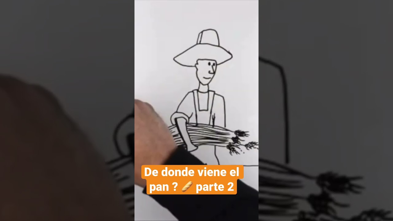 De donde viene el pan 🥖 parte 2 #dedondevieneelpan #viralshort #viralshorts #dibucuentos #pan